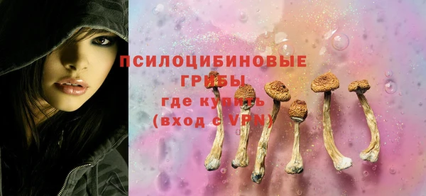 a pvp Абаза